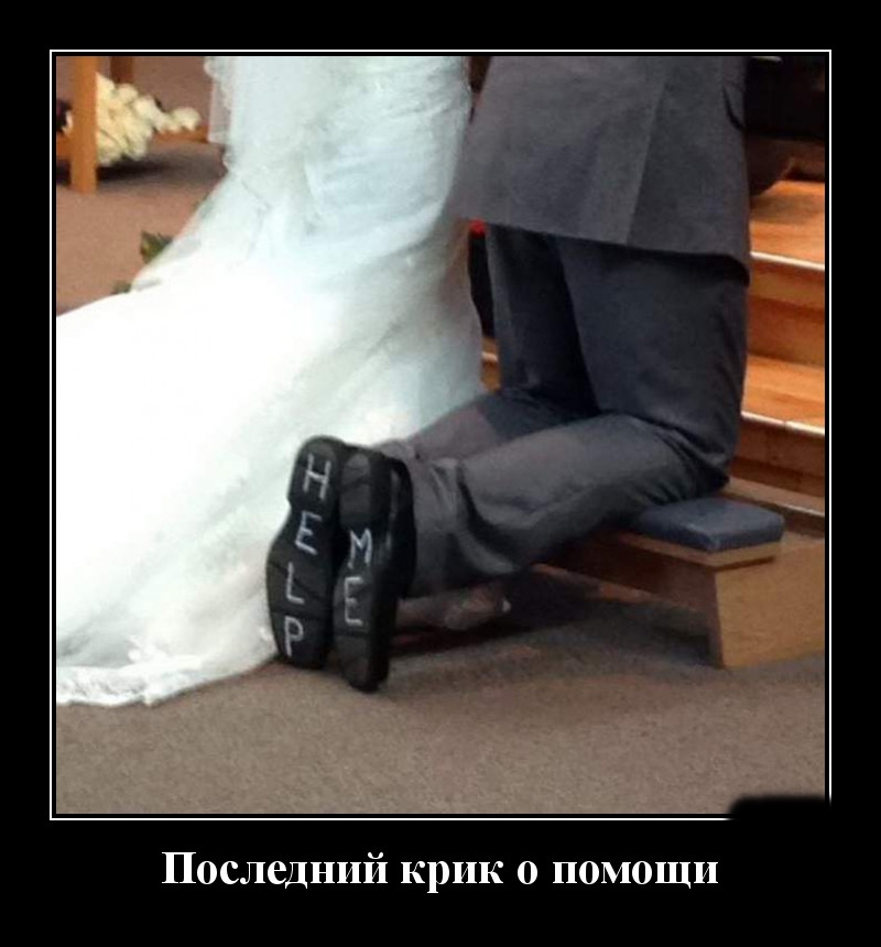 Podborka luchshikh demotivatorov 496 044